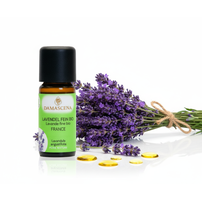 Lavendelöl fein BIO 10ml - Frankreich AOP


Tauche ein in die Welt des echten Lavendels – mit Lavendelöl fein BIO aus Frankreich, dem Herzstück der aromatischen Entspannung.

Der Lavendelduft vom Lavendel fein französisch BIO weckt viele Erinnerungen. Ob violett farbige Felder in Südfrankreich, entspannende Massagemomente oder Wäscheschränke mit frisch gestärkter Wäsche. Mit dem Lavendel verbinden viele von uns ihre ganz persönliche Geschichte. Sein Name kommt vom lateinischen „lavanda“ was so viel wie „dem Waschen dienen“ bedeutet. Schon in der Antike wurden Bäder mit Lavendel beduftet oder mit Lavendel geräuchert, um den Körper und den Geist zu reinigen. 

Auch wurde und wird er gegen Ungezieferbefall eingesetzt. Der echte Lavendel ist ein Heilmittel mit einem grossen Anwendungsspektrum. Er sollte in keiner Haus- und Reiseapotheke fehlen. Ob Insektenstiche, Verbrennungen oder Prellungen, der echte Lavendel beruhigt und unterstützt die Heilung. Wie Lavandin wird auch der echte Lavendel in der Massage gegen Verspannungen und Schmerzen eingesetzt. Er wirkt direkt auf das zentrale und das vegetative Nervensystem. Bei Ängsten, innerer Unruhe und Schlafstörungen beruhigt er und stellt das innere Gleichgewicht wieder her.