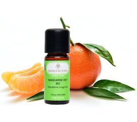 Mandarine rot BIO - Stimmungsaufhellend & entspannend


Die Mandarine rot ist ein klassisches Kinderöl. Aber auch Erwachsene erfreuen sich an seinem süssen Duft. Seine verdauungsanregenden und verdauungsfördernden Eigenschaften werden für entspannende Bauchmassagen und Wickel genutzt. Mit seiner entzündungshemmenden und schleimlösenden Wirkung ist die Mandarine rot BIO ein regulierendes Öl in Erkältungsmischungen. Sein harmonisierender Duft entspannt und macht gute Laune. Es beruhigt gereizte Nerven, umhüllt und hilft als „Kuschelöl“ beim Einschlafen.

Mandarine rot - die heitere Kraft
Unser Hirn erinnert sich vermutlich gleich bei der Erwähnung der Mandarine, an ihren Duft. Es ist ein ganz typischer, weicher und fruchtiger Duft und wir bringen ihn oft mit dem Samichlaus oder dem Winter in Verbindung. Bei uns ist es auch eine Herbst- Winterfrucht, dann bekommen wir sie nämlich in den Läden.

Oder ist es Dir nicht auch schon passiert das Dir beim Schälen ein Spritzer Öl ins Auge gelangt ist?

Das ätherische Öl befindet sich in der Schale und wird mittels schonender Kaltpressung gewonnen. Somit werden die wertvollen Inhaltsstoffe vollständig erhalten, was auch unsere hochwertige Qualität erklärt. Das Mandarine rot Öl BIO stammt aus dem sonnenverwöhnten Italien. Es speichert die heitere Kraft der Sonne in sich, diese stimuliert unser Gemüt und sorgt für mehr Gelassenheit und kann uns aus einem Stimmungstief holen

✔️ Mandarine rot mischt sich gut mit Kamille, Linaloeholz, Benzoe, Zeder und Zimtrinde.
✔️ Für ein entspannendes Fussbad am Abend mit Sandelholz, Neroli und Cocos-Schaumbad-Basis mischen.
✔️ Mandarinenöl erhöht die Lichtempfindlichkeit der Haut.
✔️ Nach der Anwendung von Mandarinenöl sollte die Haut nicht direkt der Sonne ausgesetzt werden!
