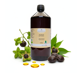 MyAloe.ch Inkanussöl BIO: Mit dem Inkanussöl BIO holst du dir ein Stück der alten Inka-Weisheit nach Hause. Spüre, wie deine Haut neue Kraft tankt, geschmeidig bleibt und dein Inneres Ruhe und Balance findet. Ein Öl, das nicht nur pflegt, sondern dich zurück zu deinem natürlichen Gleichgewicht bringt.