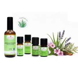 MyAloe.ch - Mückenspray selber machen Set - Natürlich wirksam. Hautfreundlich. Sonnenverträglich.