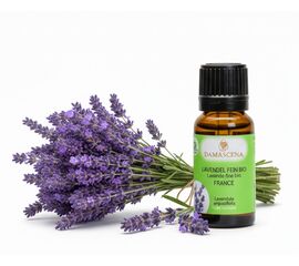 Lavendelöl fein BIO 20ml - Frankreich


Tauche ein in die Welt des echten Lavendels – mit Lavendelöl fein BIO aus Frankreich, dem Herzstück der aromatischen Entspannung.

Der Lavendelduft vom Lavendel fein französisch BIO weckt viele Erinnerungen. Ob violett farbige Felder in Südfrankreich, entspannende Massagemomente oder Wäscheschränke mit frisch gestärkter Wäsche. Mit dem Lavendel verbinden viele von uns ihre ganz persönliche Geschichte. Sein Name kommt vom lateinischen „lavanda“ was so viel wie „dem Waschen dienen“ bedeutet. Schon in der Antike wurden Bäder mit Lavendel beduftet oder mit Lavendel geräuchert, um den Körper und den Geist zu reinigen. Auch wurde und wird er gegen Ungezieferbefall eingesetzt. Der echte Lavendel ist ein Heilmittel mit einem grossen Anwendungsspektrum. Er sollte in keiner Haus- und Reiseapotheke fehlen. Ob Insektenstiche, Verbrennungen oder Prellungen, der echte Lavendel beruhigt und unterstützt die Heilung. Wie Lavandin wird auch der echte Lavendel in der Massage gegen Verspannungen und Schmerzen eingesetzt. Er wirkt direkt auf das zentrale und das vegetative Nervensystem. Bei Ängsten, innerer Unruhe und Schlafstörungen beruhigt er und stellt das innere Gleichgewicht wieder her.