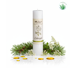 MyAloe.ch - Die Allgäuer Heilkräuterkerze Lichtengel ist eine handgefertigte Kerze aus 100% pflanzlichem Stearin, die mit der Energie von Lärche und Engelwurz, ätherischen Ölen und Blütenessenzen informiert ist, um eine Verbindung zum inneren Licht und Wärme in Räumen zu fördern. Diese Naturkerze soll in herausfordernden Zeiten unterstützen und eine liebevolle Atmosphäre schaffen, wobei ihr natürlicher Duft subtil ist und sich nicht wie bei Duftkerzen intensiviert. 

Inhaltsstoffe

Material: 
Sie besteht zu 100% aus pflanzlichem Stearin und einer Mischung aus Pflanzen- oder Harzauszügen, Heilkräuteressenzen, ätherischen Ölen und Tinkturen. 

Kräuter: 
Die Inhaltsstoffe stammen überwiegend aus eigenem Anbau oder aus kontrolliert biologischer Wildsammlung. 

Themenbezogenheit: 
Jede Kerze ist auf ein bestimmtes Lebensthema abgestimmt und mit einer Blütenessenz informiert. 

Wirkung und Anwendung
Symbolik der Engelwurz und Lärche: Die Engelwurz als große Heil- und Lichtpflanze und die Lärche als Lichtbaum sollen helfen, sich dem inneren Licht zu öffnen. 

Unterstützung in schwierigen Zeiten: Die Kerze soll eine Verbindung zum eigenen inneren Licht fördern und liebevolle Wärme in die Aura und Räume bringen. 

Keine klassische Duftkerze: Obwohl sie ätherische Öle enthält, ist das Aroma subtil und intensiviert sich beim Abbrennen nicht stark.