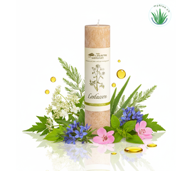 MyAloe.ch - Die Allgäuer Heilkräuterkerze "Loslassen" ist eine Kerze aus der Serie der Allgäuer Heilkräuterkerzen, die Menschen in Lebensphasen unterstützen soll, in denen sie sich mit Abschieden und dem Vergangenen konfrontiert sehen. Die Kerze enthält Kräuter wie Engelwurz, Beifuss, Ysop, Zitronenverbene und Rosengeranie, die dabei helfen sollen, Altes loszulassen, um Platz für Neues zu schaffen und zur inneren Ruhe zurückzufinden. 

Zweck und Wirkung: 
Unterstützung beim Prozess des Loslassens von Vergangenem.
Begleitung in Lebensabschnitten, die Abschiede mit sich bringen.
Förderung von innerer Ruhe und der Fähigkeit, Samen für Neues zu sehen.
Inhaltsstoffe: Engelwurz, Beifuss, Ysop, Zitronenverbene, Rosengeranie. 

Kontext:
Die "Loslassen"-Kerze ist Teil einer Serie von vierzehn Allgäuer Heilkräuterkerzen, die verschiedene Lebensthemen abdecken, um Menschen bei ihren Wünschen und Herausforderungen zu unterstützen.