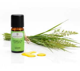 Citronella BIO – Frische, Schutz & Klarheit aus der Natur

Ein Hauch Tropenfrische für Dein Wohlbefinden
Ein klarer Kopf, ein belebter Geist, ein Lächeln im Gesicht – Citronella BIO umhüllt Dich mit einem erfrischenden, zitronigen Duft, der die Sinne aufblühen lässt. Gewonnen aus robustem Gras aus den tropischen Regionen Nepals, bringt dieses 100% naturreine ätherische Öl neue Energie in Deinen Alltag und wehrt gleichzeitig ungebetene Gäste wie Mücken zuverlässig ab.

Citronella BIO wird aus den schilfartigen Blättern der Cymbopogon Nardus Pflanze (Zitronengras) durch schonende Wasserdampfdestillation gewonnen. Die grasige Note kombiniert mit einem spritzigen Zitrus-Aroma schafft ein unverwechselbares Dufterlebnis, das Leichtigkeit und Klarheit schenkt. Jede Flasche wird mit grösster Sorgfalt in der Schweiz von Hand abgefüllt – garantiert in höchster BIO-Qualität (CH-BIO 006).

Bringe Tropenfrische in Dein Zuhause – schütze Dich auf natürliche Weise, kläre Deinen Geist und wecke Deine Lebensfreude. Mit Citronella BIO entscheidest Du Dich für reinen, nachhaltigen Duftgenuss, der Körper und Seele gleichermassen guttut.

Das ätherische Öl ist aber auch für das körperliche Wohlbefinden ein willkommener Gehilfe. Es wirkt entzündungshemmend, antiviral, antimikrobiell und antimykotisch. Das Abwehrsystem des Körpers wird aufgefahren. Die Verdauung angeregt, die Durchblutung gefördert und der Hautstoffwechsel wird aktiviert.

Warum wir das Frischeöl sonst noch lieben? 
Ausgelassene Sonnenstunden werden gerne begrüsst, lästige Mücken und Zecken weniger. Das Citronellaöl stärkt gegen Insekten und ist in Mischungen ein beeindruckendes Insektenschutzmittel. (Vorsicht: Citronellaöl sollte nicht direkt auf die Haut gegeben werden).