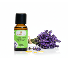 Lavendelöl fein BIO 10ml - Bulgarien


Tauche ein in die Welt des echten Lavendels – mit Lavendelöl fein BIO aus Bulgarien.

Der Lavendelduft vom Lavendel fein bulgarisch BIO weckt viele Erinnerungen. Ob violett farbige Felder, entspannende Massagemomente oder Wäscheschränke mit frisch gestärkter Wäsche. Mit dem Lavendel verbinden viele von uns ihre ganz persönliche Geschichte. Sein Name kommt vom lateinischen „lavanda“ was so viel wie „dem Waschen dienen“ bedeutet. Schon in der Antike wurden Bäder mit Lavendel beduftet oder mit Lavendel geräuchert, um den Körper und den Geist zu reinigen. 

Auch wurde und wird er gegen Ungezieferbefall eingesetzt. Der echte Lavendel ist ein Heilmittel mit einem grossen Anwendungsspektrum. Er sollte in keiner Haus- und Reiseapotheke fehlen. Ob Insektenstiche, Verbrennungen oder Prellungen, der echte Lavendel beruhigt und unterstützt die Heilung. Wie Lavandin wird auch der echte Lavendel in der Massage gegen Verspannungen und Schmerzen eingesetzt. Er wirkt direkt auf das zentrale und das vegetative Nervensystem. Bei Ängsten, innerer Unruhe und Schlafstörungen beruhigt er und stellt das innere Gleichgewicht wieder her.



✔️  Lavendel mischt sich gut mit Grapefruit, Bergamotte, Kamille, Palmarosa, Rosenholz und Linoleaholz.

✔️  Bei Stress einfach in einen Riechstift träufeln, den Duft tief einatmen und entspannen.

✔️  Bei Unruhezuständen und Schlafstörungen mit Aprikosenkernöl, Rose und Melisse mischen und als Kompresse auf das Brustbein auflegen.