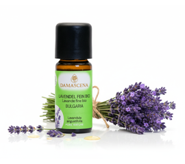 Lavendelöl fein BIO 20ml - Bulgarien


Tauche ein in die Welt des echten Lavendels – mit Lavendelöl fein BIO aus Bulgarien.

Der Lavendelduft vom Lavendel fein bulgarisch BIO weckt viele Erinnerungen. Ob violett farbige Felder, entspannende Massagemomente oder Wäscheschränke mit frisch gestärkter Wäsche. Mit dem Lavendel verbinden viele von uns ihre ganz persönliche Geschichte. Sein Name kommt vom lateinischen „lavanda“ was so viel wie „dem Waschen dienen“ bedeutet. Schon in der Antike wurden Bäder mit Lavendel beduftet oder mit Lavendel geräuchert, um den Körper und den Geist zu reinigen. 

Auch wurde und wird er gegen Ungezieferbefall eingesetzt. Der echte Lavendel ist ein Heilmittel mit einem grossen Anwendungsspektrum. Er sollte in keiner Haus- und Reiseapotheke fehlen. Ob Insektenstiche, Verbrennungen oder Prellungen, der echte Lavendel beruhigt und unterstützt die Heilung. Wie Lavandin wird auch der echte Lavendel in der Massage gegen Verspannungen und Schmerzen eingesetzt. Er wirkt direkt auf das zentrale und das vegetative Nervensystem. Bei Ängsten, innerer Unruhe und Schlafstörungen beruhigt er und stellt das innere Gleichgewicht wieder her.



✔️  Lavendel mischt sich gut mit Grapefruit, Bergamotte, Kamille, Palmarosa, Rosenholz und Linoleaholz.

✔️  Bei Stress einfach in einen Riechstift träufeln, den Duft tief einatmen und entspannen.

✔️  Bei Unruhezuständen und Schlafstörungen mit Aprikosenkernöl, Rose und Melisse mischen und als Kompresse auf das Brustbein auflegen.