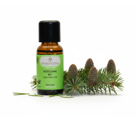 Weisstanne BIO (Schweiz) Ätherisches Öl 5 ml - Waldduft & Klarheit

Kraft der Schweizer Wälder – befreiend, stärkend, balsamisch

Die majestätische Weisstanne ist in Mitteleuropa heimisch. Ihr frischer und würziger Duft der Weisstanne spiegelt die Kraft und Klarheit des Waldes wider. Seine Heilwirkungen wurden schon zu Beginn unserer Zeitrechnung erwähnt. Das Öl der Weisstanne wird in der Aromatherapie gegen Erkältungskrankheiten und Beschwerden des Bewegungsapparates eingesetzt. In Saunamischungen wird ihr balsamisch-waldiger Duft geschätzt. Emotional vermittelt sie Stabilität und lässt das Herz weit werden. Sie ist ein Seelentröster und bringt Licht und Wärme in dunklen Zeiten. 

Das ätherische Öl der Weisstanne (Abies alba) stammt aus nachhaltiger Wildsammlung in den Schweizer Alpen und überzeugt durch seinen frischen, harzig-balsamischen Duft. Dieses hochwertige BIO-Öl wirkt stärkend auf Körper und Geist und vermittelt das Gefühl eines Spaziergangs durch einen klaren Bergwald. Es ist besonders beliebt in der Winterzeit, zur Raumluftverbesserung und zur Unterstützung der Atemwege.

Vorteile & Eigenschaften

100% naturreines, biologisches ätherisches Öl aus Schweizer Herkunft
Frischer, waldiger Duft mit klärender Wirkung
Unterstützt die freie Atmung, besonders in der Erkältungszeit
Wohltuend bei Erschöpfung, Stress oder geistiger Müdigkeit
Ideal für Aromatherapie, Sauna, Duftlampe oder Massage
Antiseptisch, entzündungshemmend, durchblutungsfördernd