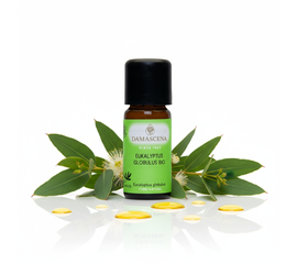 Eucalyptus Globulus BIO - Liberatorio. Rivitalizzante. Chiaro

Respira profondamente - con la potente freschezza dell'eucalipto!

L'olio essenziale di Eucalyptus Globulus BIO di myAloe.ch è un classico tra gli oli naturali quando si tratta di respirare liberamente, di vitalità e di forza mentale. La sua fragranza chiara, simile alla canfora, purifica l'aria, rivitalizza i sensi e fornisce nuova energia - ideale per la stanchezza, l'affaticamento mentale o durante i raffreddori.

Eucalyptus Globulus BIO combina freschezza e purezza in modo unico. La sua fragranza ricorda l'aria limpida di montagna e aiuta a respirare profondamente, con particolare beneficio in caso di problemi respiratori o di esaurimento. Libera la mente, favorisce la concentrazione e rafforza la resistenza: perfetto per le lunghe giornate di lavoro o per sostenere la fase di apprendimento. L'eucalipto è stato apprezzato per secoli anche in naturopatia, come un compagno purificante, protettivo e rivitalizzante.