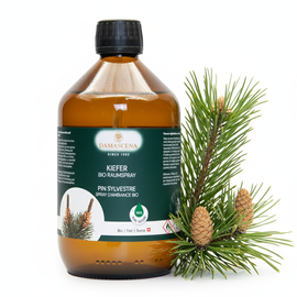 ⭐ Energetisch wirkende Inhaltsstoffe ¹⁾
Der Kiefer Raumspray enthält eine kraftvolle Synergie aus reinen ätherischen BIO-Ölen:

Kiefernadelöl BIO: belebend, kräftigend, befreiend für die Atemwege
Latschenkieferöl BIO: erfrischend, klärend, stärkend für die Lunge
Kardamomöl BIO: stimmungsaufhellend, harmonisierend, sanft zitrisch-frisch
Bergamottenöl BIO: wärmend, vitalisierend, fördert Konzentration
Lärchenöl BIO: regenerierend, stärkend, bringt Gelassenheit
Zedernöl BIO: erdend, beruhigend, schenkt innere Stabilität
❤️ Emotionale & körperliche Wirkung

Emotional:Der Duft vermittelt Ruhe, Geborgenheit und Erdung – perfekt für stressige Tage oder als Abendritual.
Körperlich:Unterstützt tiefe, freie Atmung, löst Verspannungen und fördert Erholung nach Anstrengung