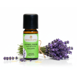 Lavendelöl fein BIO 20ml - Bulgarien


Tauche ein in die Welt des echten Lavendels – mit Lavendelöl fein BIO aus Bulgarien.

Der Lavendelduft vom Lavendel fein bulgarisch BIO weckt viele Erinnerungen. Ob violett farbige Felder, entspannende Massagemomente oder Wäscheschränke mit frisch gestärkter Wäsche. Mit dem Lavendel verbinden viele von uns ihre ganz persönliche Geschichte. Sein Name kommt vom lateinischen „lavanda“ was so viel wie „dem Waschen dienen“ bedeutet. Schon in der Antike wurden Bäder mit Lavendel beduftet oder mit Lavendel geräuchert, um den Körper und den Geist zu reinigen. 

Auch wurde und wird er gegen Ungezieferbefall eingesetzt. Der echte Lavendel ist ein Heilmittel mit einem grossen Anwendungsspektrum. Er sollte in keiner Haus- und Reiseapotheke fehlen. Ob Insektenstiche, Verbrennungen oder Prellungen, der echte Lavendel beruhigt und unterstützt die Heilung. Wie Lavandin wird auch der echte Lavendel in der Massage gegen Verspannungen und Schmerzen eingesetzt. Er wirkt direkt auf das zentrale und das vegetative Nervensystem. Bei Ängsten, innerer Unruhe und Schlafstörungen beruhigt er und stellt das innere Gleichgewicht wieder her.



✔️  Lavendel mischt sich gut mit Grapefruit, Bergamotte, Kamille, Palmarosa, Rosenholz und Linoleaholz.

✔️  Bei Stress einfach in einen Riechstift träufeln, den Duft tief einatmen und entspannen.

✔️  Bei Unruhezuständen und Schlafstörungen mit Aprikosenkernöl, Rose und Melisse mischen und als Kompresse auf das Brustbein auflegen.