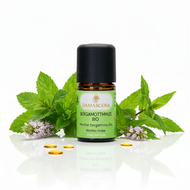 Bergamottminze BIO – Harmonie, Balance & innere Ruhe aus der Natur


Ein Hauch von Leichtigkeit für Körper und Seele
Das ätherische Bergamottminze BIO Öl (Mentha citrata) vereint die Frische von Minze mit der fruchtig-sanften Zitrusnote der Bergamotte. Es wirkt wie ein sanfter Sommerwind – beruhigend, klärend und gleichzeitig erfrischend für Geist und Sinne.

Mit seinem harmonisierenden Duft schenkt es Ruhe, Gelassenheit und neue Energie, wenn Stress oder innere Unruhe das Gleichgewicht stören. Es ist das ideale Öl für alle, die Entspannung suchen, ohne müde zu werden – perfekt für Yoga, Meditation oder einen ruhigen Feierabend.



✅ 4 Schlüsselvorteile auf einen Blick
100 % naturrein & BIO-zertifiziert – aus kontrolliert biologischem Anbau, handabgefüllt in der Schweiz.
Beruhigend & stimmungsaufhellend – reduziert Stress und hebt die Stimmung.
Konzentrationsfördernd & ausgleichend – ideal für Schule, Arbeit oder kreative Tätigkeiten.
Pflegend & hautfreundlich – wirkt entzündungshemmend, klärend und regenerierend bei Hautproblemen.