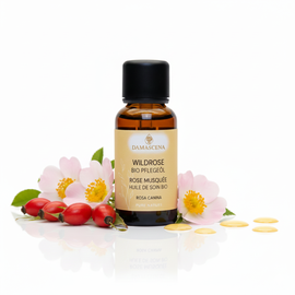 Wildrosenöl BIO – regenerierende Pflege für ein ebenmässiges, strahlendes Hautbild


Das Wildrosenöl BIO (Hagebuttenkernöl) ist eines der wertvollsten Schönheitsöle der Naturkosmetik und bekannt für seine bemerkenswerte regenerierende Wirkung. Dank seines aussergewöhnlich hohen Anteils an Vitamin A, essentiellen Fettsäuren sowie antioxidativen Pflanzenstoffen unterstützt es die natürliche Kollagenproduktion und fördert eine glatte, elastische und ebenmässige Hautstruktur.
Es normalisiert die Talgdrüsenfunktion, wirkt Unebenheiten und Überpigmentierung entgegen und unterstützt die Regeneration von Narben sowie sonnengeschädigter Haut. Sein feiner, dezenter Duft nach Hagebutte schenkt ein Gefühl von Natürlichkeit und Pflege.

❤️ Eignet sich ideal für:
– reife und trockene Haut
– fettige, aus dem Gleichgewicht geratene Haut
– empfindliche oder narbengeprägte Haut
– sonnengestresste oder pigmentunregelmässige Haut

Für ein sichtbar verbessertes Hautbild wird eine regelmässige Anwendung über mindestens 3 Monate empfohlen.

Wildrosenöl BIO ist mehr als nur ein Schönheitsöl – es ist eine Einladung zu mehr Selbstliebe, Harmonie und natürlicher Ausstrahlung. Jeder Tropfen schenkt deiner Haut neue Kraft, lässt sie sichtbar regenerierter wirken und schafft ein zartes Gefühl von Wohlbefinden und innerer Balance.