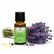 Wilder Berglavendel Bio 20ml - Entspannung & innere Balance


Der Wilde Berglavendel Bio ist eine wahre Kostbarkeit unter den Lavendelölen, ein wahrer Schatz der Natur. Im Gegensatz zu anderen Lavendelarten gedeiht der Berglavendel nicht in den Ebenen, sondern gedeiht prächtig in Höhenlagen über 1000 Metern.

Für das Wilder Berglavendel Bio werden speziell ausgewiesene Flächen in Handarbeit und nach den strengen Richtlinien der Bio-Qualität bewirtschaftet und geerntet. Jede Blüte wird sorgfältig von Hand gepflückt, um die Reinheit und Qualität des Öls zu gewährleisten.

Aus den zarten, kleinen Blütenrispen des Wilden Berglavendels wird ein äusserst kostbares und intensives Öl mittels Wasserdampfdestillation gewonnen. Dieser Prozess erfordert viel Geduld und Expertise, um das volle Potenzial der Pflanze zu extrahieren. Das Wirkungsspektrum und die Einsatzgebiete des Wilden Berglavendels entsprechen im Wesentlichen denen des echten Lavendels. Es wird für seine beruhigenden, entspannenden und heilenden Eigenschaften geschätzt. Sein Duft ist jedoch intensiver und herber, was ihn zu einer einzigartigen und unverwechselbaren Variante dieses beliebten ätherischen Öls macht.

Der Wilder Berglavendel Bio gehört zur Pflanzenfamilie der Lamiaceae, den Lippenblütengewächsen, und sein charakteristisches Aroma und seine vielfältigen Anwendungsmöglichkeiten machen ihn zu einem unverzichtbaren Bestandteil der Aromatherapie und Naturkosmetik.


✔️  Lavendel mischt sich gut mit Grapefruit, Bergamotte, Kamille, Palmarosa, Rosenholz und Linoleaholz

✔️  Bei Stress einfach in einen Riechstift träufeln, den Duft tief einatmen und entspannen.

✔️  Bei Unruhezuständen & Schlafstörungen mit Aprikosenkernöl, Rose und Melisse mischen und als Kompresse auf das Brustbein auflegen.