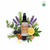 ⭐ Ein kraftvoller Synergiekomplex aus Pflanzen- und ätherischen BIO-Ölen:
✅ Jojobaöl BIO – feuchtigkeitsspendend & hautausgleichend
✅ Sesamöl BIO – wärmend & durchblutungsfördernd
✅ Mandelöl BIO – sanft pflegend & beruhigend
✅ Schwarzkümmelöl BIO – stärkend & zellregenerierend
✅ Zitronenöl BIO – klärend, vitalisierend
✅ Eukalyptusöl BIO – befreiend & erfrischend
✅ Ravintsaraöl BIO – stärkend für Immunsystem & Nerven
✅ Lavendelöl BIO – entspannend & hautberuhigend
✅ Rosmarinöl BIO – durchblutungsfördernd & aktivierend
✅ Muskatellersalbeiöl BIO – harmonisierend & muskelentkrampfend
✅ Wacholderbeerenöl BIO – reinigend & ausleitend