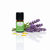 ⭐ Traditionelle Anwendung in der Aromatherapie
In der klassischen Aromatherapie wird der Lavendel Sevilla traditionell eingesetzt bei:

Erkältungen, verschleimten Bronchien & Hustenreiz
Stirn- und Nebenhöhlenbeschwerden
Ohrenentzündungen (nur verdünnt & fachgerecht)
Wundheilung und Narbenpflege
Erschöpfung & Energielosigkeit
⚡ Tipp: Mische 8–12 Tropfen Lavendel Sevilla BIO in 75 ml Damascena Basisöl – als Erkältungsöl zur Brust-, Rücken- und Fussmassage. Mehrmals täglich einmassieren für befreites Atmen.



✨ Duftprofil & Duftwirkung
Duftprofil: stechend-krautig, frisch, klar
Duftthema: anregend, öffnend, ausgleichend, stimulierend

Emotional:
Der Lavendel Sevilla BIO weckt Lebensfreude, klärt den Geist und stärkt die Konzentration. Er hilft, innere Schwere und Müdigkeit zu vertreiben, bringt Balance in stressigen Phasen und schenkt neue Vitalität.

Körperlich:
Durch seinen hohen Ketongehalt wirkt er schleimlösend, krampflösend und durchblutungsfördernd. Besonders wohltuend bei Atemwegsproblemen, Muskelverspannungen oder Wundheilung.