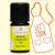 Tonkabohne BIO Aromaöl - Sinnlich. Warm. Unvergesslich.
myaloe.ch
Sinnlicher Gourmetgenuss in jedem Tropfen
Tonkabohne BIO Aromaöl ist ein echter Geheimtipp für Feinschmecker, Genussmenschen und Liebhaber warmer, sinnlicher Aromen. Das 100 % naturreine Bio-Aromaöl verführt mit einer unverwechselbaren, herb-süssen Note, die an Vanille, Mandel, Heu und Karamell erinnert – tief, balsamisch und betörend.

Bereits ein einziger Tropfen genügt, um Desserts, Süssspeisen, Schokolade, Patisserie oder orientalische Gerichte auf ein neues Genussniveau zu heben. Gleichzeitig wirkt Tonkabohne auch emotional: erdend, wärmend und entspannend – ein Aroma, das Geborgenheit schenkt und die Sinne umhüllt.

Ob in der feinen Aromaküche oder als sinnlicher Duftmoment – Tonkabohne BIO Aromaöl verbindet Genuss, Tiefe und Wohlgefühl auf einzigartige Weise.

Tonkabohne BIO Aromaöl ist mehr als ein Geschmack – es ist ein Gefühl.
Ein Tropfen schenkt Tiefe, Wärme und sinnliche Geborgenheit. Für Momente, in denen Genuss, Ruhe und Erdung im Mittelpunkt stehen.
