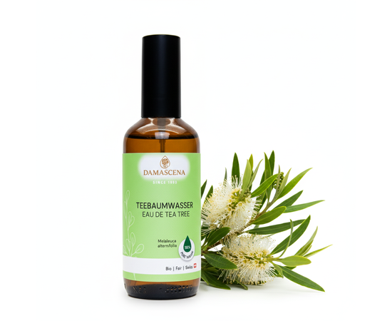 Pflanzenwasser von myAloe.ch: Teebaumwasser  - Krautig-frischer Duft mit reinigender,  klärender & schützender Wirkung