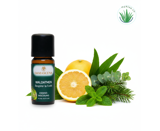 Ätherisches Öl von myAloe.ch: Waldatmen Essenzmischung  (enthält:  Eukalyptus ,  Grapefruit ,  Fichtennadel, Pfefferminz )