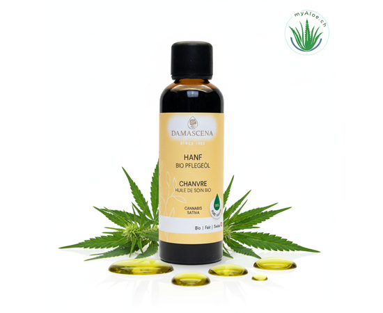 Das kaltgepresste Hanföl BIO (Cannabis sativa) ist ein wahres Multitalent der Natur. Gewonnen aus den nährstoffreichen Samen der Hanfpflanze, überzeugt es durch seinen hohen Gehalt an Omega-3- und Omega-6-Fettsäuren im idealen Verhältnis von 3:1, seltene Gamma-Linolensäuren sowie wertvolles Chlorophyll. Diese Zusammensetzung macht es zu einem unverzichtbaren Pflegeöl für raue, entzündliche und schuppende Haut – ideal auch bei Neurodermitis, Hautirritationen oder trockenen Händen.