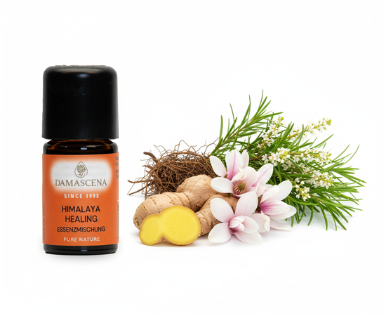 Ätherisches Öl von myAloe.ch: Himalaya Healing Essenzmischung (enthält: Ingwer, Narde, Magnolie, Cajeput )