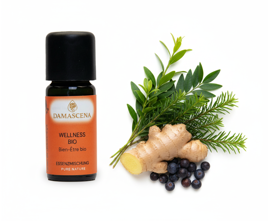 Ätherisches Öl von myAloe.ch: Wellness Essenzmischung (enthält: Ravintsara , Teebaum , Ingwer, Wacholderbeere )