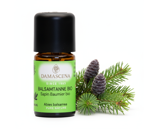 Balsamtanne BIO – Ätherisches Öl für Klarheit & Kraft


Stabil und allen äusseren Einflüssen ausgesetzt, wächst die Tanne zu einem starken Baum heran, speichert Sonnenlicht und -wärme.

Schon Galen und Hippokrates war das Öl der Balsamtanne wegen seiner vielfältigen Anwendungsmöglichkeiten bekannt. Es wurde zur äusserlichen Behandlung bei rheumatischen und neuralgischen Schmerzen eingesetzt.

✔️ Der waldig-frische Duft fördert klares Denken und belebt den Geist.
✔️ Er wirkt konzentrationsfördernd und aktiviert physische und emotionale Ressourcen.
✔️ Seelisch wirkt das Öl bei geistiger Erschöpfung. Sie unterstützt, sich von Niedergeschlagenheit und Erschöpfung zu befreien.
✔️ Das Öl vermittelt Mut , Gelassenheit und Lebensfreude. Wie der Baum selbst, lässt es stark und gut verwurzelt im Leben stehen