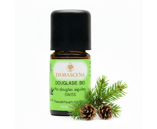 Douglasie Bio (Schweiz) – Ätherisches Öl - Waldduft & Klarheit


Douglasfichte, auch Douglasie genannt, ist ein immergrünes Nadelgehölz. Sie kann 60 Meter und höher und mehrere hundert Jahre alt werden. Die ca. 4 cm langen Nadeln duften angenehm aromatisch nach Wald mit einer Zitrusnote. Traditionell findet sie Anwendung bei Erkältungs- und Muskelbeschwerden sowie zur Raumluftverbesserung.

Seelisch stärkt das Douglasie Bio Schweiz Öl das Selbstvertrauen und die Widerstandskraft. Die lässt die Atmung tief und weit werden und somit entspannen und in den Moment kommen. Kreativität und Inspiration werden geweckt.

Frisch, klar & zitrusartig – das ätherische Bio-Öl der Douglasie stärkt das Selbstvertrauen, klärt den Geist und reinigt die Raumluft. Aus kontrollierter Wildsammlung in der Schweiz, 100 % naturrein und vegan. Ideal für Büro, Alltag & kreative Momente.