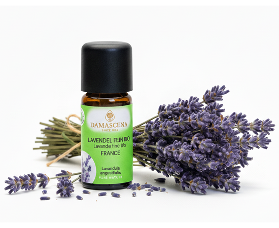 Lavendelöl fein BIO 10ml - Frankreich AOP


Tauche ein in die Welt des echten Lavendels – mit Lavendelöl fein BIO aus Frankreich, dem Herzstück der aromatischen Entspannung.

Der Lavendelduft vom Lavendel fein französisch BIO weckt viele Erinnerungen. Ob violett farbige Felder in Südfrankreich, entspannende Massagemomente oder Wäscheschränke mit frisch gestärkter Wäsche. Mit dem Lavendel verbinden viele von uns ihre ganz persönliche Geschichte. Sein Name kommt vom lateinischen „lavanda“ was so viel wie „dem Waschen dienen“ bedeutet. Schon in der Antike wurden Bäder mit Lavendel beduftet oder mit Lavendel geräuchert, um den Körper und den Geist zu reinigen. 

Auch wurde und wird er gegen Ungezieferbefall eingesetzt. Der echte Lavendel ist ein Heilmittel mit einem grossen Anwendungsspektrum. Er sollte in keiner Haus- und Reiseapotheke fehlen. Ob Insektenstiche, Verbrennungen oder Prellungen, der echte Lavendel beruhigt und unterstützt die Heilung. Wie Lavandin wird auch der echte Lavendel in der Massage gegen Verspannungen und Schmerzen eingesetzt. Er wirkt direkt auf das zentrale und das vegetative Nervensystem. Bei Ängsten, innerer Unruhe und Schlafstörungen beruhigt er und stellt das innere Gleichgewicht wieder her.