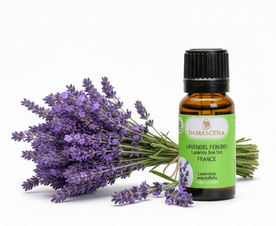 Lavendelöl fein BIO 20ml - Frankreich


Tauche ein in die Welt des echten Lavendels – mit Lavendelöl fein BIO aus Frankreich, dem Herzstück der aromatischen Entspannung.

Der Lavendelduft vom Lavendel fein französisch BIO weckt viele Erinnerungen. Ob violett farbige Felder in Südfrankreich, entspannende Massagemomente oder Wäscheschränke mit frisch gestärkter Wäsche. Mit dem Lavendel verbinden viele von uns ihre ganz persönliche Geschichte. Sein Name kommt vom lateinischen „lavanda“ was so viel wie „dem Waschen dienen“ bedeutet. Schon in der Antike wurden Bäder mit Lavendel beduftet oder mit Lavendel geräuchert, um den Körper und den Geist zu reinigen. Auch wurde und wird er gegen Ungezieferbefall eingesetzt. Der echte Lavendel ist ein Heilmittel mit einem grossen Anwendungsspektrum. Er sollte in keiner Haus- und Reiseapotheke fehlen. Ob Insektenstiche, Verbrennungen oder Prellungen, der echte Lavendel beruhigt und unterstützt die Heilung. Wie Lavandin wird auch der echte Lavendel in der Massage gegen Verspannungen und Schmerzen eingesetzt. Er wirkt direkt auf das zentrale und das vegetative Nervensystem. Bei Ängsten, innerer Unruhe und Schlafstörungen beruhigt er und stellt das innere Gleichgewicht wieder her.