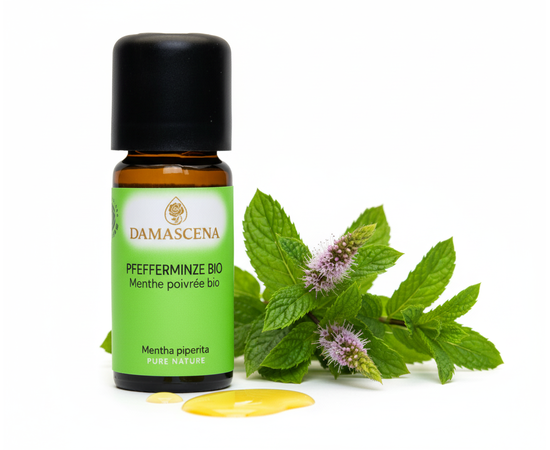 Pfefferminzöl BIO 10ml

Die europäische Minze ist wohl die bekannteste Vertreterin in der Familie der Minzen. Das ätherische Öl des Pfefferminze BIO wird für die Mundpflege und in der Lebensmittelindustrie eingesetzt. Auf der körperlichen Ebene wirkt die Pfefferminze verdauungsfördernd, entkrampfend, schmerzstillend und Immunsystem stärkend. Die Pfefferminze hilft bei drohender Ohnmacht und weckt die Lebensgeister. Hochschlagenden Emotionen kühlt sie ab und bringt Klarheit in verfahrene Situationen. Bei Konzentrationsstörungen und geistiger Überlastung bringt sie neue Energie.

✔️ Pfefferminze mischt sich gut mit Lavendel, Majoran, Rosmarin, Eukalyptus, Weisstanne und Benzoe.
✔️ Pfefferminzöl sollte nicht für ein Vollbad verwendet werden!
✔️ Nicht für Kinder unter sechs Jahren verwenden!
✔️ Zu medizinischen und kosmetischen Einsatzmöglichkeiten geben Ihnen ausgebildete Fachkräfte gerne weitere Auskünfte.