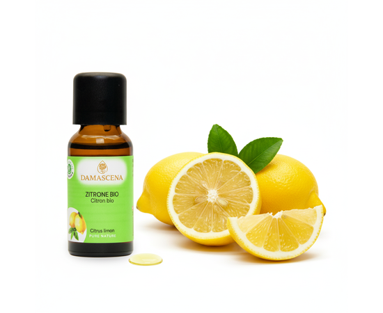 Zitronenöl BIO – das „Gute Laune Öl“ aus Italien


Die Zitrone vermittelt Frische, Sonnenschein und pure Lebensfreude. Ihr spritziges Aroma macht sie zu einer beliebten Zutat in Speisen und Getränken, in Hautpflegeprodukten, aber auch in Reinigungsmitteln. Sie ist der Inbegriff von Sauberkeit und Frische.

Aus den strahlend gelben Fruchtschalen wird ein frisches und vielseitiges ätherisches Öl gewonnen. Die Aromatherapie nutzt seine fiebersenkenden, antiseptischen und entzündungshemmenden Eigenschaften gegen Infektionskrankheiten. Seine entstauende und entschlackende Wirkung wird bei Lymphstauungen und Venenschwäche eingesetzt. Emotional ist die Zitrone ein gute Laune-Öl. Sie hebt die Stimmung, fördert die Konzentration und unterbricht kreisende Gedanken. Sie hilft bei mentaler Erschöpfung und richtet auf.