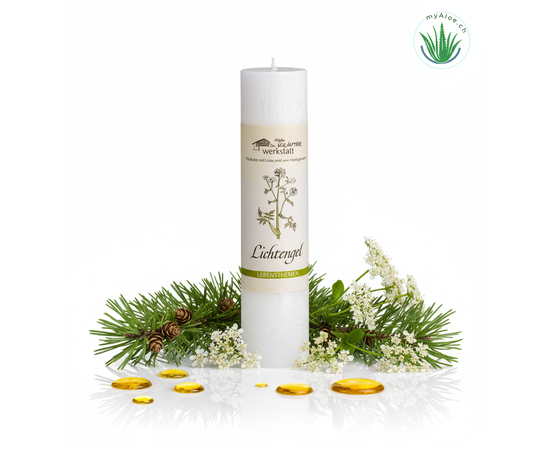 MyAloe.ch - Die Allgäuer Heilkräuterkerze Lichtengel ist eine handgefertigte Kerze aus 100% pflanzlichem Stearin, die mit der Energie von Lärche und Engelwurz, ätherischen Ölen und Blütenessenzen informiert ist, um eine Verbindung zum inneren Licht und Wärme in Räumen zu fördern. Diese Naturkerze soll in herausfordernden Zeiten unterstützen und eine liebevolle Atmosphäre schaffen, wobei ihr natürlicher Duft subtil ist und sich nicht wie bei Duftkerzen intensiviert. 

Inhaltsstoffe

Material: 
Sie besteht zu 100% aus pflanzlichem Stearin und einer Mischung aus Pflanzen- oder Harzauszügen, Heilkräuteressenzen, ätherischen Ölen und Tinkturen. 

Kräuter: 
Die Inhaltsstoffe stammen überwiegend aus eigenem Anbau oder aus kontrolliert biologischer Wildsammlung. 

Themenbezogenheit: 
Jede Kerze ist auf ein bestimmtes Lebensthema abgestimmt und mit einer Blütenessenz informiert. 

Wirkung und Anwendung
Symbolik der Engelwurz und Lärche: Die Engelwurz als große Heil- und Lichtpflanze und die Lärche als Lichtbaum sollen helfen, sich dem inneren Licht zu öffnen. 

Unterstützung in schwierigen Zeiten: Die Kerze soll eine Verbindung zum eigenen inneren Licht fördern und liebevolle Wärme in die Aura und Räume bringen. 

Keine klassische Duftkerze: Obwohl sie ätherische Öle enthält, ist das Aroma subtil und intensiviert sich beim Abbrennen nicht stark.