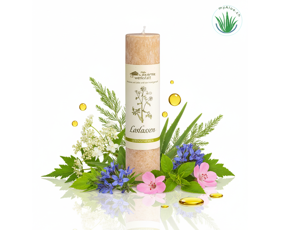 MyAloe.ch - Die Allgäuer Heilkräuterkerze "Loslassen" ist eine Kerze aus der Serie der Allgäuer Heilkräuterkerzen, die Menschen in Lebensphasen unterstützen soll, in denen sie sich mit Abschieden und dem Vergangenen konfrontiert sehen. Die Kerze enthält Kräuter wie Engelwurz, Beifuss, Ysop, Zitronenverbene und Rosengeranie, die dabei helfen sollen, Altes loszulassen, um Platz für Neues zu schaffen und zur inneren Ruhe zurückzufinden. 

Zweck und Wirkung: 
Unterstützung beim Prozess des Loslassens von Vergangenem.
Begleitung in Lebensabschnitten, die Abschiede mit sich bringen.
Förderung von innerer Ruhe und der Fähigkeit, Samen für Neues zu sehen.
Inhaltsstoffe: Engelwurz, Beifuss, Ysop, Zitronenverbene, Rosengeranie. 

Kontext:
Die "Loslassen"-Kerze ist Teil einer Serie von vierzehn Allgäuer Heilkräuterkerzen, die verschiedene Lebensthemen abdecken, um Menschen bei ihren Wünschen und Herausforderungen zu unterstützen.