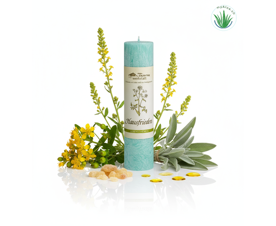 MyAloe.ch
Die Allgäuer Heilkräuterkerze "Hausfrieden" ist ein handgegossenes Naturprodukt, das mit Auszügen von Copal und Johanniskraut, ätherischem Salbeiöl sowie Königskerzenessenz angereichert ist. Sie dient dazu, schlechte Energien abzubauen und ein harmonisches Miteinander zu fördern, indem sie eine reinigende und lichtbringende Schwingung verbreitet. Die Kerze ist nicht als Duftkerze gedacht, da die ätherischen Öle für die Wirkung und nicht für ein intensives Dufterlebnis beim Anzünden sorgen. 

✨ Inhaltsstoffe und Wirkung 

✔️ Copal: Reinigende Auszüge.
✔️ Johanniskraut: Unterstützt den Abbau schlechter Energien.
✔️ Salbeiöl: Ätherisches Öl mit reinigender Wirkung.
✔️ Königskerzenessenz: Hat eine ableitende Wirkung und trägt zur Reinigung bei.

Zweck und Anwendung

✨ Harmonie: Die Kerze soll für ein harmonisches und glückliches Miteinander sorgen. 
✨ Energiearbeit: Sie wird zur Reinigung von Energien nach Streitigkeiten oder Spannungen eingesetzt. 
✨ Naturprodukt: Als Naturprodukt aus 100% pflanzlichem Stearin ist die Kerze vegan. Die Banderole sollte vor dem Anzünden entfernt werden.