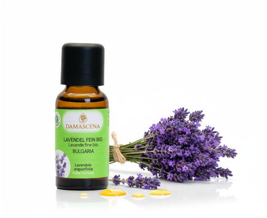Lavendelöl fein BIO 10ml - Bulgarien


Tauche ein in die Welt des echten Lavendels – mit Lavendelöl fein BIO aus Bulgarien.

Der Lavendelduft vom Lavendel fein bulgarisch BIO weckt viele Erinnerungen. Ob violett farbige Felder, entspannende Massagemomente oder Wäscheschränke mit frisch gestärkter Wäsche. Mit dem Lavendel verbinden viele von uns ihre ganz persönliche Geschichte. Sein Name kommt vom lateinischen „lavanda“ was so viel wie „dem Waschen dienen“ bedeutet. Schon in der Antike wurden Bäder mit Lavendel beduftet oder mit Lavendel geräuchert, um den Körper und den Geist zu reinigen. 

Auch wurde und wird er gegen Ungezieferbefall eingesetzt. Der echte Lavendel ist ein Heilmittel mit einem grossen Anwendungsspektrum. Er sollte in keiner Haus- und Reiseapotheke fehlen. Ob Insektenstiche, Verbrennungen oder Prellungen, der echte Lavendel beruhigt und unterstützt die Heilung. Wie Lavandin wird auch der echte Lavendel in der Massage gegen Verspannungen und Schmerzen eingesetzt. Er wirkt direkt auf das zentrale und das vegetative Nervensystem. Bei Ängsten, innerer Unruhe und Schlafstörungen beruhigt er und stellt das innere Gleichgewicht wieder her.



✔️  Lavendel mischt sich gut mit Grapefruit, Bergamotte, Kamille, Palmarosa, Rosenholz und Linoleaholz.

✔️  Bei Stress einfach in einen Riechstift träufeln, den Duft tief einatmen und entspannen.

✔️  Bei Unruhezuständen und Schlafstörungen mit Aprikosenkernöl, Rose und Melisse mischen und als Kompresse auf das Brustbein auflegen.