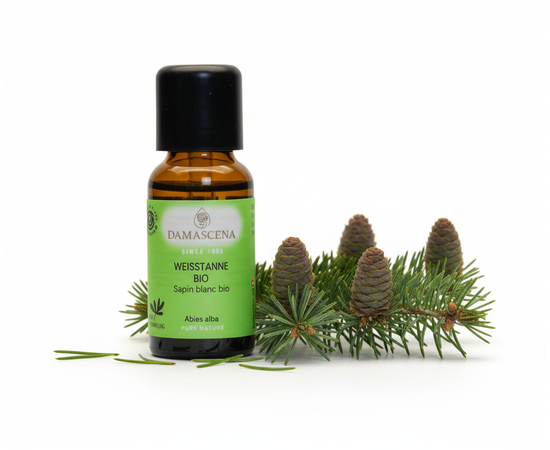 Weisstanne BIO (Schweiz) Ätherisches Öl 5 ml - Waldduft & Klarheit

Kraft der Schweizer Wälder – befreiend, stärkend, balsamisch

Die majestätische Weisstanne ist in Mitteleuropa heimisch. Ihr frischer und würziger Duft der Weisstanne spiegelt die Kraft und Klarheit des Waldes wider. Seine Heilwirkungen wurden schon zu Beginn unserer Zeitrechnung erwähnt. Das Öl der Weisstanne wird in der Aromatherapie gegen Erkältungskrankheiten und Beschwerden des Bewegungsapparates eingesetzt. In Saunamischungen wird ihr balsamisch-waldiger Duft geschätzt. Emotional vermittelt sie Stabilität und lässt das Herz weit werden. Sie ist ein Seelentröster und bringt Licht und Wärme in dunklen Zeiten. 

Das ätherische Öl der Weisstanne (Abies alba) stammt aus nachhaltiger Wildsammlung in den Schweizer Alpen und überzeugt durch seinen frischen, harzig-balsamischen Duft. Dieses hochwertige BIO-Öl wirkt stärkend auf Körper und Geist und vermittelt das Gefühl eines Spaziergangs durch einen klaren Bergwald. Es ist besonders beliebt in der Winterzeit, zur Raumluftverbesserung und zur Unterstützung der Atemwege.

Vorteile & Eigenschaften

100% naturreines, biologisches ätherisches Öl aus Schweizer Herkunft
Frischer, waldiger Duft mit klärender Wirkung
Unterstützt die freie Atmung, besonders in der Erkältungszeit
Wohltuend bei Erschöpfung, Stress oder geistiger Müdigkeit
Ideal für Aromatherapie, Sauna, Duftlampe oder Massage
Antiseptisch, entzündungshemmend, durchblutungsfördernd