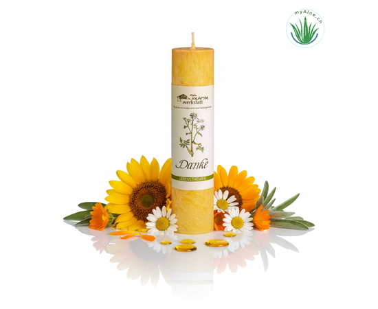 MyAloe.ch

Die Allgäuer Heilkräuterkerze "Danke" ist eine handgefertigte Kerze aus 100 % pflanzlichem Stearin, die Gänseblümchen, Ringelblume, Sonnenblume und Salbei enthält, um Dankbarkeit auszudrücken. Die Kerze soll wie ein frischer Blumenstrauß wirken und den reinigenden Aspekt des Salbeis nutzen, um eine herzliche Geste der Anerkennung zu vermitteln. Die ätherischen Öle und Kräuterauszüge entfalten ein feines, natürliches Aroma, das die Kerzen in ihrer Wirkung unterstützen, und sind Teil eines reinen Naturprodukts. 

✨ Die Kerze enthält Kräuterauszüge aus Gänseblümchen, Ringelblume, Sonnenblume und Salbei. 


✨ Wirkung: 
Die Kombination der Kräuter soll als Zeichen der Dankbarkeit dienen und eine herzliche Geste der Anerkennung vermitteln. Der Salbei wird dabei für seine reinigende und heilige Wirkung hervorgehoben.