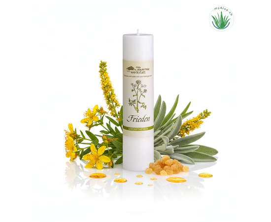 MyAloe.ch

Die Allgäuer Heilkräuterkerze "Frieden" ist eine von Hand gegossene Kerze, die aus 100% pflanzlichem Stearin und einer Mischung aus Heilkräuteressenzen oder ätherischen Ölen wie Copal, Johanniskraut, Salbei und Königskerze besteht. Sie ist darauf ausgerichtet, eine reinigende Wirkung zu entfalten und durch ihre Frieden und Licht bringende Schwingung den Abbau angestauter Energien nach Streit zu unterstützen und das Streben nach einem Leben in Einklang zu fördern. 


✨Anwendungszwecke und Wirkung

✔️ Förderung von Frieden und Harmonie: 
Die Kerze hilft, eine Atmosphäre der Stille und Besinnung zu schaffen, die das Streben nach einem friedvollen Leben unterstützt. 

✔️ Reinigung und Energiearbeit: 
Mit Auszügen von Copal und Johanniskraut sowie Salbei und Königskerze hat die Kerze eine stark reinigende Wirkung und unterstützt den Abbau negativer, geballter Energien. 

✔️ Förderung von Achtsamkeit: 
Die Inhaltsstoffe der Kerze, die an Orten der Kraft und des Friedens geerntet werden, fördern ein Gefühl der Achtsamkeit und das Gefühl der Verbundenheit mit dem grossen Ganzen. 

✔️ Spezifische Inhaltsstoffe: 
Für die "Frieden"-Kerze werden spezifische Kräuter und Harze verwendet, darunter Copal, Johanniskraut, Salbei und Königskerze, die eine Frieden und Licht bringende Schwingung erzeugen sollen.