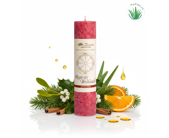 MyAloe.ch

Die Allgäuer Heilkräuterkerze "Geist und Magie der Weihnacht" ist eine handgefertigte Kerze aus 100% pflanzlichem Stearin, die mit verschiedenen Weihnachts-relevanten Heilkräuterextrakten, wie Tanne, Mistel, Zimt und Orange, angereichert ist. Sie dient dazu, eine stimmungsvolle und besinnliche Atmosphäre während der Advents- und Weihnachtszeit zu schaffen und soll durch ihre Schwingungen und Essenzen die "Magie der Weihnacht" im Menschen erwecken und ein Licht in die dunkelste Nacht bringen. 


✨ Heilkräuteressenzen und ätherische Öle: 
Die Kerze enthält Auszüge, ätherische Öle, Essenzen und Tinkturen von Weihnachts-typischen Heilkräutern und -pflanzen. 


✔️ Aktivierung:
Durch das Brennen wird die Information und Schwingung der Inhaltsstoffe freigesetzt, was eine Wirkung ähnlich einer feinen Räucherung hat. 

✔️ Unterstützung von Intentionen:
Sie soll die eigenen geistigen Intentionen und mentalen Absichten unterstützen, wie die Begrüßung des Lichts, die Förderung von Achtsamkeit, Dankbarkeit, Liebe und Frieden. 

✔️ Dauerhafte Wirkung:
Die Kerze soll helfen, den "Geist der Weihnacht" über die Weihnachtszeit hinaus im ganzen Jahr zu bewahren.  

✨ Unterschied zu Duftkerzen 
Es handelt sich nicht um Duftkerzen im klassischen Sinne, auch wenn ein leichtes Aroma entsteht. Der Fokus liegt auf der spirituellen Wirkung der Heilkräuter und nicht auf dem Dufterlebnis.