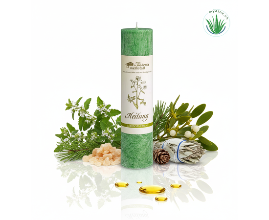 MyAloe.ch

Die Allgäuer Heilkräuterkerze „Heilung“ ist eine handgefertigte Kerze aus pflanzlichem Stearin, die die Kräuter Weihrauch, Verbena, Kiefer, Salbei und Mistel enthält, um Körper, Geist und Seele ins Gleichgewicht zu bringen und zu harmonisieren. Die Kerze ist kein Duftkerze im klassischen Sinne, sondern gibt beim Verbrennen feine, naturreine ätherische Öle und Kräuterauszüge frei, um die spirituelle Wirkung zu unterstützen. 

✨ Die Kerze enthält Weihrauch, Verbena, Kiefer, Salbei und Mistel. 

✨  Zweck: 
Die Kombination dieser Kräuter soll die Harmonisierung von Körper, Geist und Seele unterstützen und ein Licht für die Seele sein. 

✨ Wirkung: 
Ähnlich wie bei einer Räucherung werden die Informationen und Schwingungen der Kräuterauszüge und ätherischen Öle durch das Feuer freigesetzt. Dies unterstützt die eigenen geistigen und mentalen Absichten.