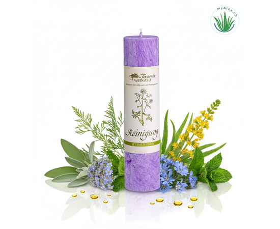 MyAloe.ch

Die Allgäuer Heilkräuterkerze Reinigung ist eine Hand gegossene Kerze aus 100% pflanzlichem Stearin, die mit einer Mischung aus Heilkräuteressenzen und ätherischen Ölen wie Beifuss, Salbei, Kampfer, Ysop, Königskerze und Pfefferminze versetzt ist. Sie soll negative Energien und eine aufgeladene Atmosphäre in Räumen und der Aura neutralisieren und ein wohltuendes Raumklima schaffen. Die Kerze befreit Räume von negativen Energien und unterstützt beim Klären von Gedankenmustern, ähnlich einer sanften Räucherung. 

✨ Heilkräuteressenzen und ätherische Öle: 
Die spezielle Mischung aus Beifuss, Salbei, Kampfer, Ysop, Königskerze und Pfefferminze verleiht der Kerze ihre reinigende Wirkung. 


Wirkung und Anwendung

✔️ Energetische Reinigung: 
Die Inhaltsstoffe der Kerze sollen negative Energien und belastende Schwingungen, die durch Streit oder andere Ereignisse entstanden sein können, vertreiben. 

✔️ Klären von Gedanken: 
Die Kerze kann auch dazu dienen, eingefahrene und erstarrte Gedankenmuster zu lösen und den Geist zu erfrischen. 

✔️ Schaffen eines Wohlfühlklimas: 
Durch den Duft der Kräuter soll ein angenehmes und harmonisches Raumklima gefördert werden.
