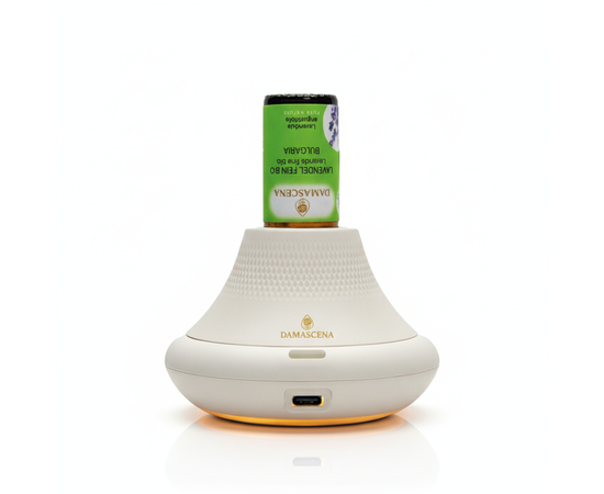 VOLCAN Aroma Diffuser - Natürliche Düfte, modernes Design & pure Entspannung


Vielseitig einsetzbar und unkompliziert:
Der VOLCAN Aroma Diffuser bringt die Kraft der Natur direkt in Dein Zuhause – stilvoll, leise und effektiv. Mit seiner innovativen Ultraschall-Technologie vernebelt er 100 % naturreine ätherische Öle unverdünnt und direkt aus dem Fläschchen. Ganz ohne Wasser, ganz ohne Aufwand. So entfalten sich die feinen Duftmoleküle in ihrer reinsten Form und verwandeln Deinen Raum für Stunden in eine Oase des Wohlbefindens.

Ob beim Arbeiten, Relaxen oder Meditieren – der VOLCAN Diffuser sorgt für ein harmonisches Raumklima, unterstützt die Gesundheit und schenkt Dir echte Momente der Balance.

Für natürliche Wohlfühlmomente
Zusammen mit einem ätherischen Öl( 5ml oder 10ml Fläschchen) nach Wahl garantiert der VOLCAN Aroma Diffuser echte Wohlfühlmomente und das sanft und leise.



✅ Vorteile auf einen Blick
✔️ Leise Duftverbreitung für ein angenehmes Raumklima
✔️ Geeignet für 5ml und 10ml Flaschengrössen - Unverdünnt und direkt aus dem Fläschchen
✔️ Achtung: nur 100% naturreine ätherische Öle verwenden
✔️ Innovative Ultraschall-Technologie – vernebelt reine ätherische Öle direkt aus dem Fläschchen, ohne Wasser
✔️ Betriebsstunden mit Beleuchtung: 5 - 6 Stunden, Betriebsstunden ohne Beleuchtung: 13 - 30 Stunden
✔️ 3 verschiedene Intervallmodus und diffusiert 3 Stunden lang und schaltet danach automatisch ab
✔️ Elegantes Design, minimalistisch, modern und passend für jede Wohnumgebung.
✔️ Vielseitig einsetzbar – zur Entspannung, Raumhygiene, Stimmungsaufhellung oder Konzentrationssteigerung.