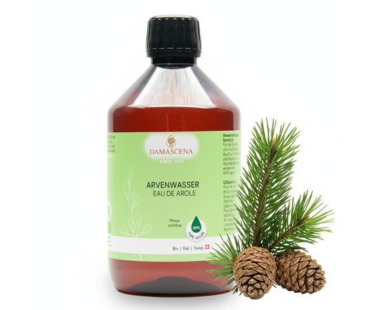 Arvenwasser BIO – die Kraft der Alpen in jedem Sprühstoss


Stellen Dir vor, Du atmest tief ein – klar, frisch und rein wie die Luft in einem alpinen Zirbenwald.

Unser Arvenwasser BIO wird aus den Zweigen der Arve im Herzen der Österreichischen Alpen durch schonende Wasserdampfdestillation gewonnen. Es ist zu 100 % naturrein und enthält die wertvollen Inhaltsstoffe der "Königin der Alpen" – bekannt für ihre entspannende, klärende und stärkende Wirkung auf Körper und Geist.

Das waldig-balsamische Pflanzenwasser ist sanft und kraftvoll zur Haut. Der Duft der Arve wirkt wärmend, stärkend, kräftigend, ermutigend, befreiend, regenerierend und ist gut für die Atemwege.



Das waldig-balsamische Pflanzenwasser ist sanft und kraftvoll zur Haut
✅  Arvenwasser BIO, 100% naturreines Pflanzenwasser
✅  Lat. Name: Pinus cembra, auch bekannt als Zirbelkiefer
✅  Duftthema: wärmend, stärkend, kräftigend, ermutigend, befreiend, regenerierend
✅  gut für die Atemwege
✅  Garantie für höchste Bio-Qualität CH-BIO 006
✅  Kühl lagern