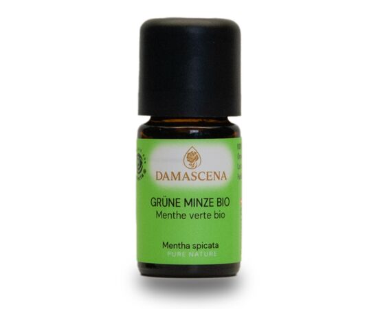 Grüne Minze (Krauseminze) BIO – Erfrischung & Klarheit aus der Natur


Frischer Wind für Körper, Geist & Seele
Das ätherische Öl der Grünen Minze (Spearmint, Krauseminze) BIO verleiht Energie, Leichtigkeit und Konzentration. Sein kühles, süßlich-frisches Aroma ist bekannt aus der Mundpflege – doch seine Wirkung reicht weit darüber hinaus. In der Aromatherapie wird Krauseminze wegen ihrer entzündungshemmenden, krampflösenden und belebenden Eigenschaften geschätzt. Perfekt für alle, die Erfrischung, Klarheit und mentale Stärke suchen.



✅ 4 Schlüsselvorteile auf einen Blick
✔️ Erfrischend & klärend – bringt frische Energie und klare Gedanken
✔️ Wohltuend für Muskeln & Gelenke – ideal bei Verspannungen und Sportmassagen
✔️ Fördert freie Atmung & Verdauung – sanfte Unterstützung bei innerer Unruhe
✔️ Stärkt Konzentration & Fokus – ideal in Lern- oder Arbeitssituationen