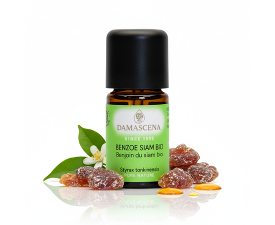 Benzoe Siam BIO – Wärme, Geborgenheit & tiefe Entspannung
myaloe.ch

Sanft wie eine Umarmung der Seele
Tauche ein in den warmen, balsamischen Duft der Benzoe Siam BIO Essenz – ein wahrer Balsam für Herz und Seele.
Das edle Harz des Styrax-Baumes (Benzoe-Baum) zählt zu den ältesten und wertvollsten Duftstoffen der Welt. Bereits in den Tempeln des alten Ägypten wurde es zur Reinigung, Heilung und für rituelle Zwecke verwendet. Heute begleitet es Dich in Momenten der Ruhe, des Loslassens und der Geborgenheit – wie eine duftende Umarmung, die Körper und Geist sanft zur Ruhe bringt.

Das ätherische Benzoe Siam BIO Öl wird durch schonende Alkoholextraktion aus dem Harz des Styrax tonkinensis gewonnen. Sein warmer, vanillig-süsser Duft erinnert an Kakao und Honig und hüllt Dich in eine wohltuende, tröstende Atmosphäre.

Es beruhigt bei Stress, Schlaflosigkeit und Nervosität, pflegt die Haut bei Irritationen und wirkt entzündungshemmend. Ideal für alle, die Momente der inneren Ruhe und emotionalen Sicherheit suchen.