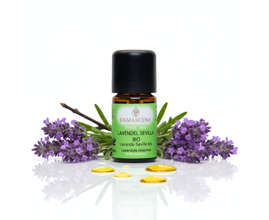 Lavendel Sevilla BIO 5ml - Energie, Klarheit & Balance aus Spanien


Der Lavendel Sevilla BIO – auch bekannt als Romero Santo („heiliger Rosmarin“) – ist eine aussergewöhnliche Lavendelart, die Körper und Geist auf einzigartige Weise belebt. Sein Duft ist stechend-krautig und frisch, mit einem Hauch mediterraner Heilkraft, die sofort an Sonne, Kräuter und befreites Atmen erinnert.

Im Gegensatz zum milden, blumigen Lavendel fein, entfaltet der Lavendel Sevilla seine kraftvolle Wirkung durch den hohen Monoterpenketon-Gehalt (ca. 80 %) – das macht ihn zu einem starken Begleiter in der kalten Jahreszeit, besonders bei Erkältungen, Husten und festsitzendem Schleim.

Er ist ein Öl der Klarheit, inneren Öffnung und Balance – für alle, die mehr Energie und Leichtigkeit im Alltag suchen.

Der Lavendel Sevilla BIO ist ein Öl voller Energie, das Körper und Seele befreit – ein kraftvolles Heilpflanzenöl aus dem Süden, das Dir zu Klarheit, Leichtigkeit und innerer Balance verhilft.



✅ 4 Schlüsselvorteile auf einen Blick
100 % naturrein & BIO-zertifiziert – aus kontrollierter Wildsammlung in Portugal & Spanien, handabgefüllt in der Schweiz.
Fördert freies Atmen – schleimlösend, öffnend und befreiend bei Erkältung, Husten und Bronchitis.
Anregend & ausgleichend – stärkt die Lebensenergie, wirkt aktivierend auf Körper & Geist.
Vielseitig anwendbar – ideal für Aromatherapie, Wundpflege, Massagen und Raumbeduftung.