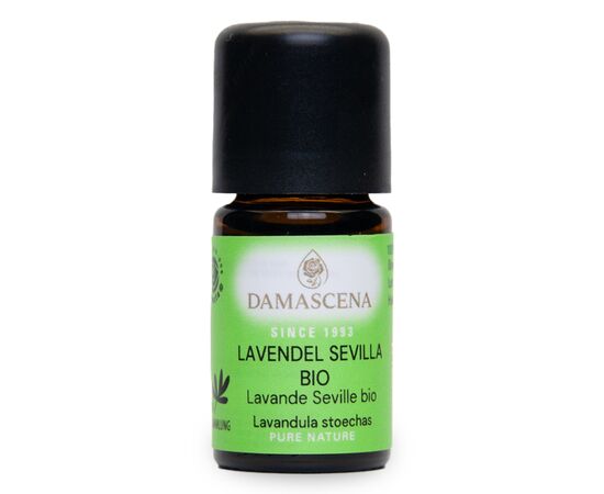 Lavendel Sevilla BIO 5ml - Energie, Klarheit & Balance aus Spanien


Der Lavendel Sevilla BIO – auch bekannt als Romero Santo („heiliger Rosmarin“) – ist eine aussergewöhnliche Lavendelart, die Körper und Geist auf einzigartige Weise belebt. Sein Duft ist stechend-krautig und frisch, mit einem Hauch mediterraner Heilkraft, die sofort an Sonne, Kräuter und befreites Atmen erinnert.

Im Gegensatz zum milden, blumigen Lavendel fein, entfaltet der Lavendel Sevilla seine kraftvolle Wirkung durch den hohen Monoterpenketon-Gehalt (ca. 80 %) – das macht ihn zu einem starken Begleiter in der kalten Jahreszeit, besonders bei Erkältungen, Husten und festsitzendem Schleim.

Er ist ein Öl der Klarheit, inneren Öffnung und Balance – für alle, die mehr Energie und Leichtigkeit im Alltag suchen.

Der Lavendel Sevilla BIO ist ein Öl voller Energie, das Körper und Seele befreit – ein kraftvolles Heilpflanzenöl aus dem Süden, das Dir zu Klarheit, Leichtigkeit und innerer Balance verhilft.



✅ 4 Schlüsselvorteile auf einen Blick
100 % naturrein & BIO-zertifiziert – aus kontrollierter Wildsammlung in Portugal & Spanien, handabgefüllt in der Schweiz.
Fördert freies Atmen – schleimlösend, öffnend und befreiend bei Erkältung, Husten und Bronchitis.
Anregend & ausgleichend – stärkt die Lebensenergie, wirkt aktivierend auf Körper & Geist.
Vielseitig anwendbar – ideal für Aromatherapie, Wundpflege, Massagen und Raumbeduftung.