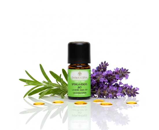 Vendel à piquer BIO


Rafraîchissement pour le corps, l'esprit & l'âme - à base d'huile essentielle BIO 100 % naturelle
Quand la lavande fine apporte le calme, la lavande aspic BIO est son frère vivifiant plein d'énergie.
Son parfum herbacé, puissant et frais, à forte teneur en camphre, provient des paysages ensoleillés d'Espagne et éveille les sens comme une brise d'air pur des montagnes.

Cette huile essentielle réunit la force purifiante, revitalisante et protectrice de la nature - idéale pour les moments où tu veux te recentrer, respirer profondément et retrouver ton énergie.

La lavande à piquer (Lavandula latifolia) appartient à la famille des lavandes, mais se distingue nettement par sa forte teneur en camphre Elle dégage ainsi un parfum marqué, frais et légèrement médicinal, qui est stimulant, libérateur et favorise la concentration
Alors que la lavande fine est synonyme de détente et de sommeil, la lavande aspic est le "réveil parmi les lavandes" - parfait en cas d'épuisement, de fatigue mentale ou de problèmes respiratoires.

Ses propriétés fortifiantes en font un compagnon puissant dans la pharmacie familiale - que ce soit pour soigner les voies respiratoires, pour régénérer la peau ou comme booster d'énergie en période de stress.