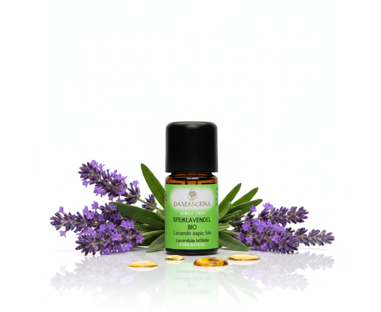 Vendel à piquer BIO


Rafraîchissement pour le corps, l'esprit & l'âme - à base d'huile essentielle BIO 100 % naturelle
Quand la lavande fine apporte le calme, la lavande aspic BIO est son frère vivifiant plein d'énergie.
Son parfum herbacé, puissant et frais, à forte teneur en camphre, provient des paysages ensoleillés d'Espagne et éveille les sens comme une brise d'air pur des montagnes.

Cette huile essentielle réunit la force purifiante, revitalisante et protectrice de la nature - idéale pour les moments où tu veux te recentrer, respirer profondément et retrouver ton énergie.

La lavande à piquer (Lavandula latifolia) appartient à la famille des lavandes, mais se distingue nettement par sa forte teneur en camphre Elle dégage ainsi un parfum marqué, frais et légèrement médicinal, qui est stimulant, libérateur et favorise la concentration
Alors que la lavande fine est synonyme de détente et de sommeil, la lavande aspic est le "réveil parmi les lavandes" - parfait en cas d'épuisement, de fatigue mentale ou de problèmes respiratoires.

Ses propriétés fortifiantes en font un compagnon puissant dans la pharmacie familiale - que ce soit pour soigner les voies respiratoires, pour régénérer la peau ou comme booster d'énergie en période de stress.