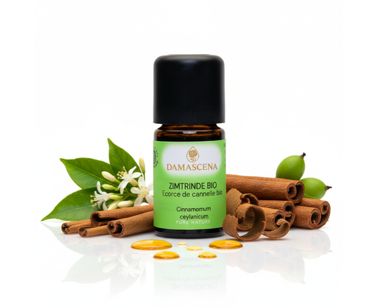 Zimtrinde BIO - Wärme, Geborgenheit & Inspiration aus der Natur


Ein Duft, der Herz und Seele wärmt
Der süß-würzige Duft der Zimtrinde BIO weckt Erinnerungen an Gemütlichkeit, Geborgenheit und festliche Momente. Dieses ätherische Öl, gewonnen aus der feinen Rinde des echten Ceylon-Zimtbaums (Cinnamomum ceylanicum), gehört zu den ältesten und wertvollsten Pflanzenessenzen der Welt.

Zimtrindenöl schenkt innere Wärme, fördert die Lebensfreude und hilft, emotionaler Kälte und Stress entgegenzuwirken. Es schafft eine Atmosphäre von Wohlbefinden, Harmonie und Inspiration – besonders in der kalten Jahreszeit ein echtes Herzöl.

Zimtrinde BIO ist mehr als nur ein Duft – es ist ein Gefühl von Zuhause. Es erinnert an Wärme, Schutz und Geborgenheit.
Wenn der Alltag kühl und hektisch wird, hilft dieses Öl, sich wieder zu zentrieren, den Moment zu genießen und das Herz für Freude zu öffnen.

☀️ Ein Tropfen genügt, um Deine Sinne zu umhüllen und Deine Seele zu wärmen.

​

✅ 4 Schlüsselvorteile auf einen Blick
Wärmend & belebend – stärkt Körper und Geist, fördert Energie und Vitalität.
Emotional harmonisierend – schenkt Geborgenheit, Freude und inneren Frieden.
Desinfizierend & klärend – unterstützt das Immunsystem und wirkt reinigend auf die Luft.
Aromatisch vielseitig – ideal für Diffuser, Duftlampen, DIY-Mischungen und Raumsprays.